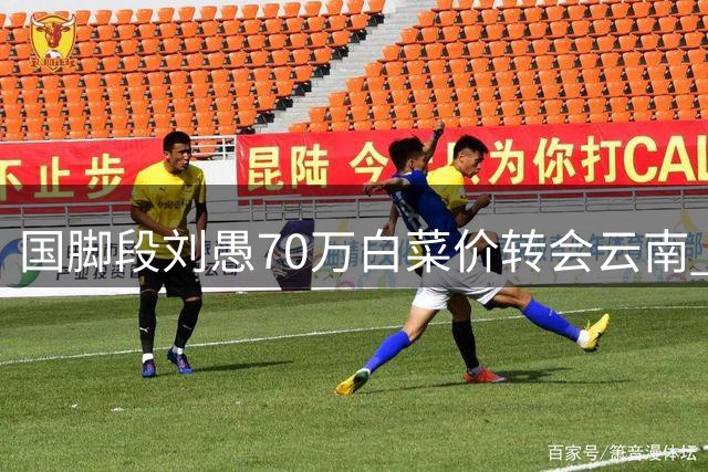 国脚段刘愚70万白菜价转会云南 泰山球迷怒斥管理层失职