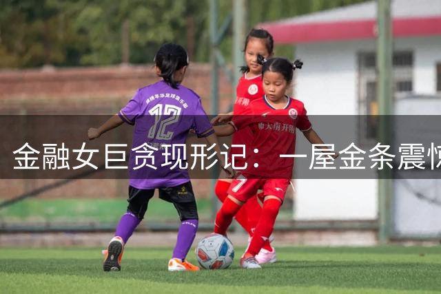 金融女巨贪现形记：一屋金条震惊专案组 奢华私宅暗藏腐败人生